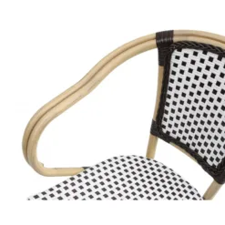 Alternative view of Sillón Tropicana